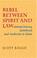 Cover of Rebel between spirit and law